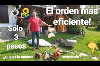 Curso gratis de jardinería y mantenimiento de áreas verdes